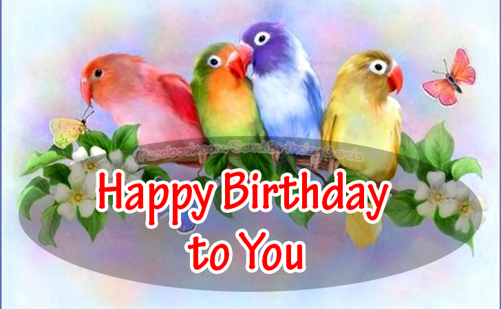 Happy Birthday to You | Birthday Cards