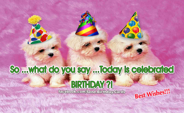 Happy Birthday! Best Wishes! | Birthday Cards