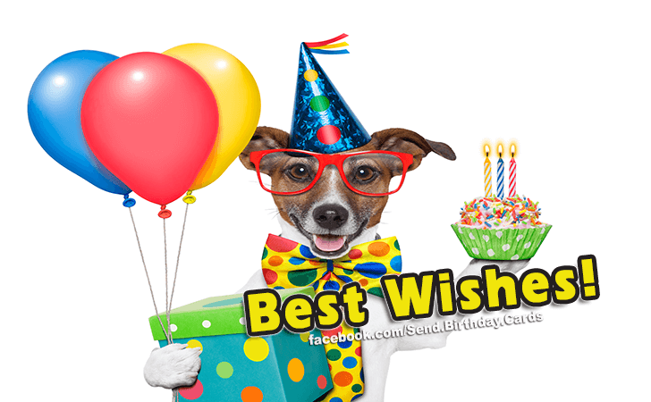 Happy Birthday! | Birthday Cards