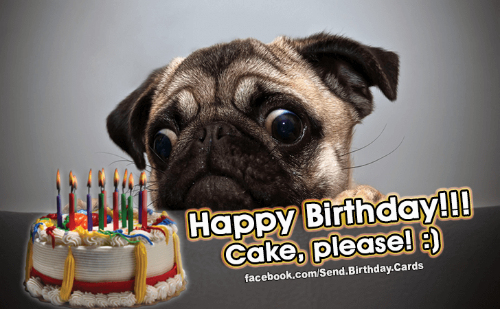 Cake for me? | Birthday Cards