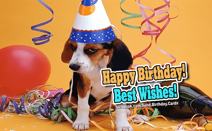 Best Wishes! | Birthday Cards