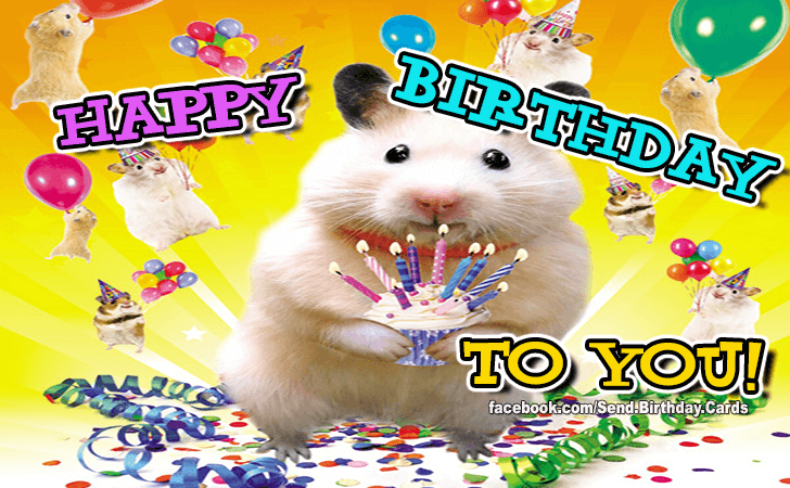 Happy Birthday! | Birthday Cards
