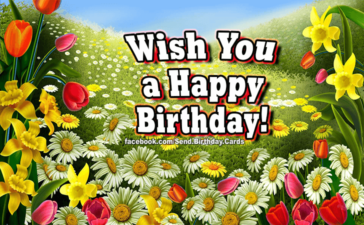 Wish You... | Birthday Cards