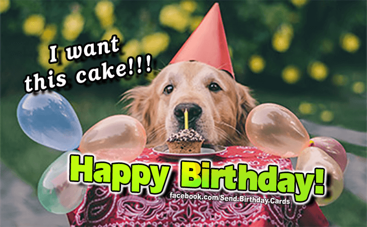 I want this cake! | Birthday Cards