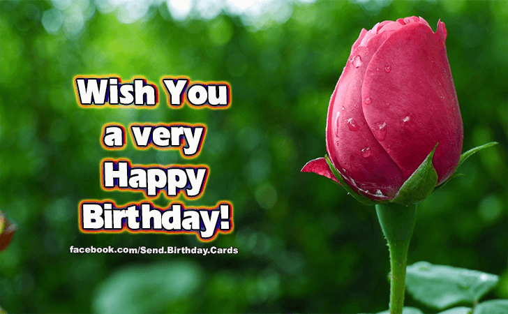 Wish You a...