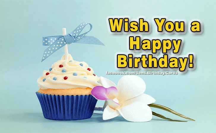 Wish You a... | Birthday Cards