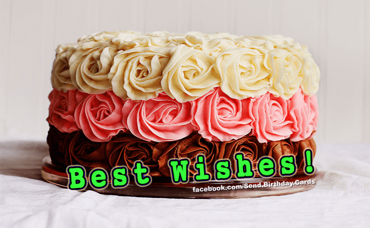 Best Wishes! | Birthday Cards