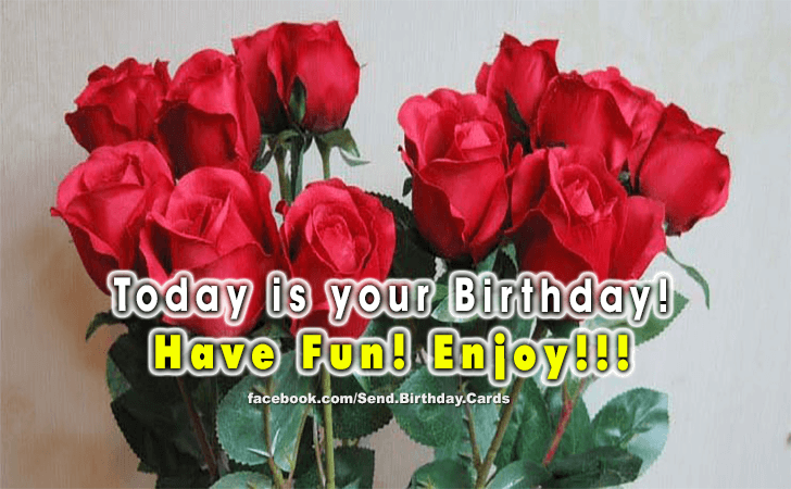 Have Fun! Enjoy!!! | Birthday Cards