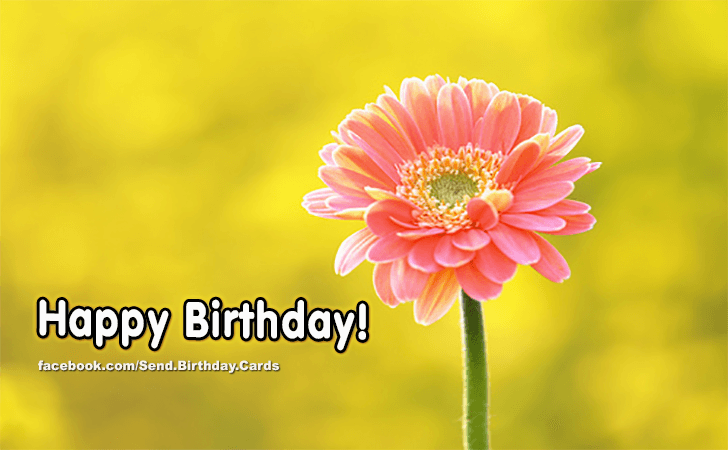 Happy Birthday! | Birthday Cards