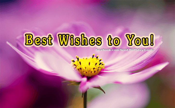 Best Wishes! | Birthday Cards