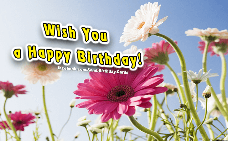 Wish You a | Birthday Cards