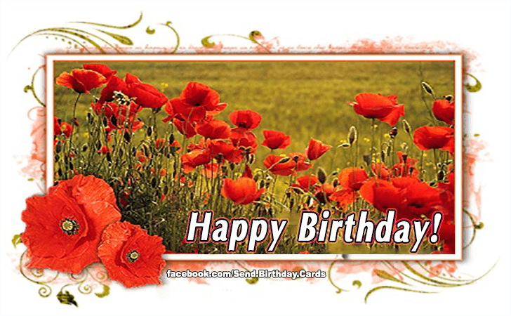 Happy Birthday! | Birthday Cards