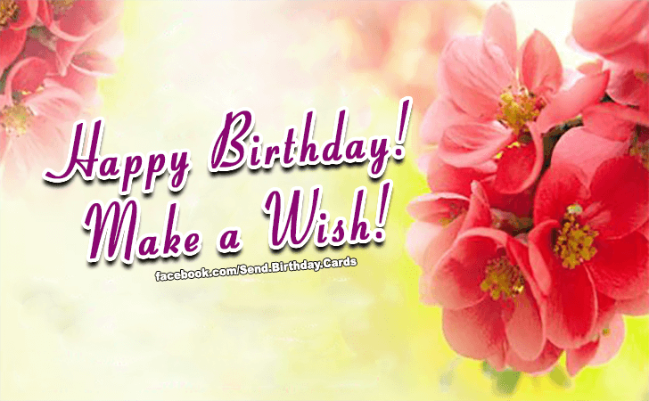 Make a Wish! | Birthday Cards