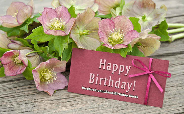 Happy Birthday! | Birthday Cards