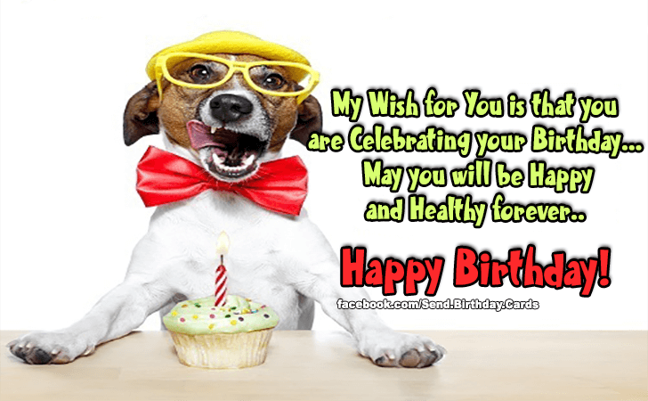 My Wish for You is that you are... | Birthday Cards