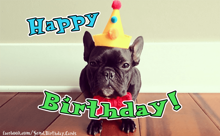 Happy Birthday! | Birthday Cards