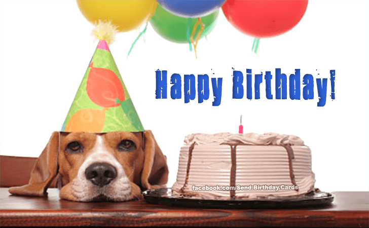 Happy Birthday! | Birthday Cards