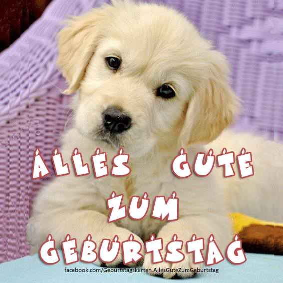 Alles Gute zum Geburtstag - Bilder, Sprüche und Wünsche zum Geburtstag.