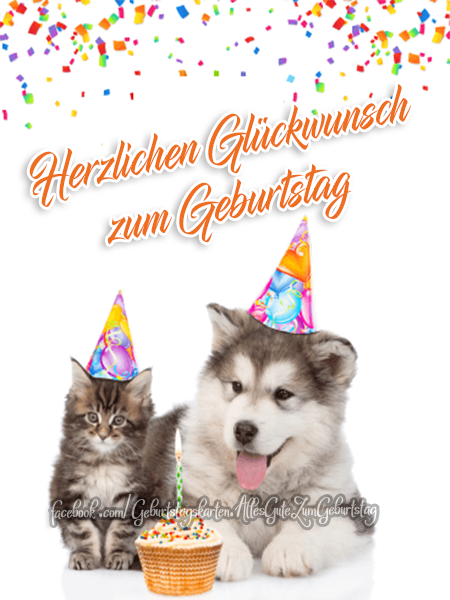 Herzlichen Glückwunsch zum Geburtstag - Bilder, Sprüche und Wünsche zum Geburtstag.