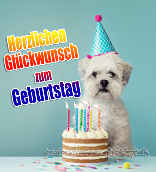 Geburtstagskarte - Herzlichen Glückwunsch zum Geburtstag 🥳🥳🥳
 - Bilder, Sprüche und Wünsche zum Geburtstag.