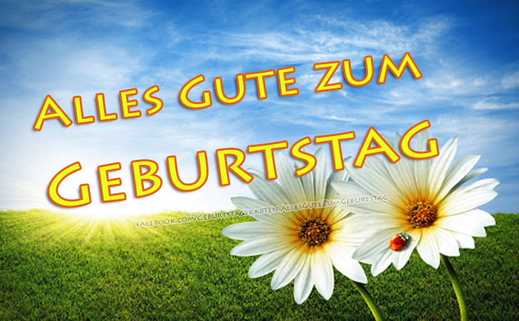 Geburtstagskarten - Alles Gute zum Geburtstag - Bilder, Sprüche und Wünsche zum Geburtstag.