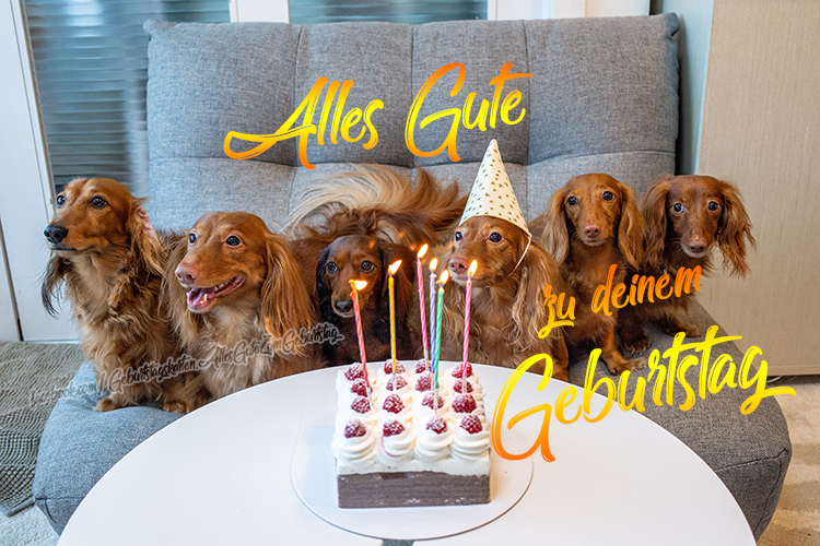 Alles Gute zu Deinem Geburtstag - Bilder, Sprüche und Wünsche zum Geburtstag.