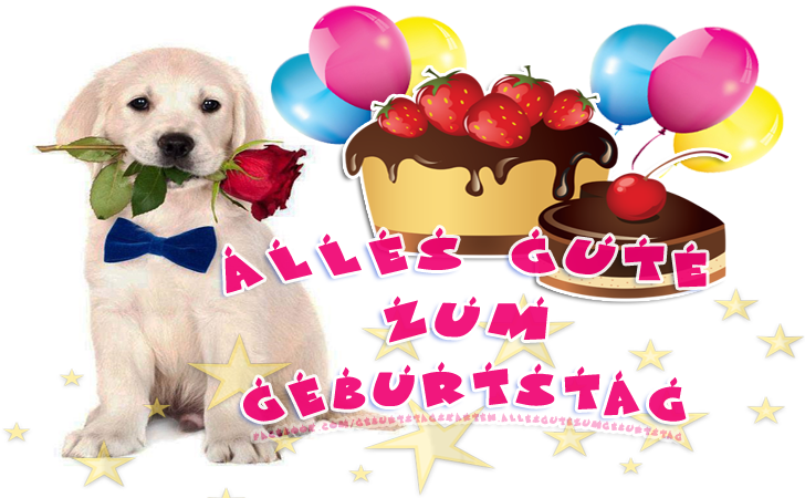 Alles Gute zum Geburtstag - Bilder, Sprüche und Wünsche zum Geburtstag.