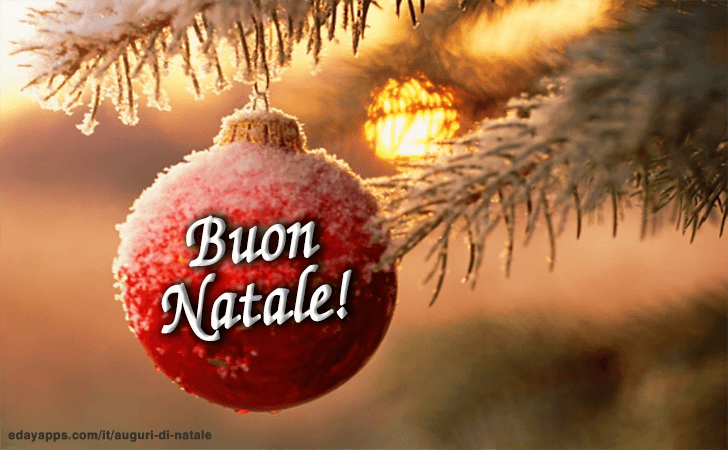 Auguri di Natale | Buon Natale!