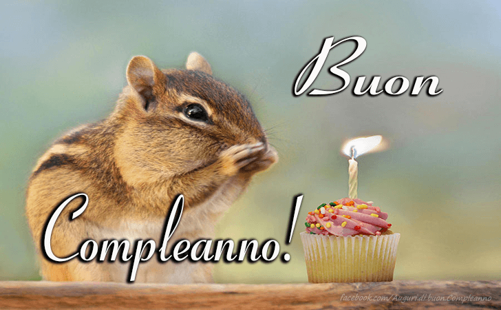 Auguri di Buon Compleanno: Buon Compleanno!