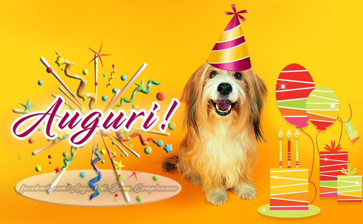 Auguri di Buon Compleanno: Auguri!