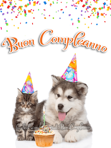 Auguri di Buon Compleanno: Buon Compleanno