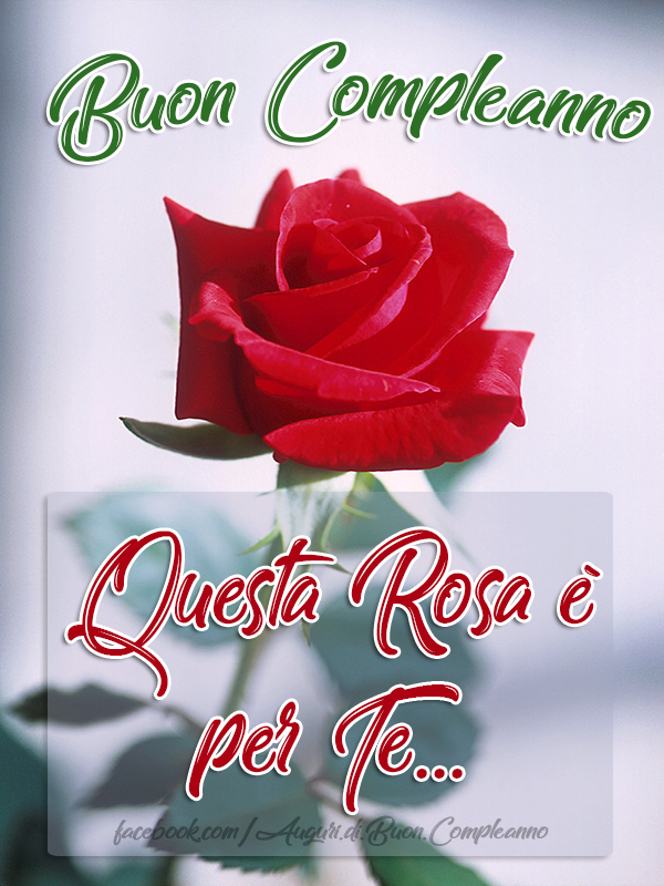 Auguri di Buon Compleanno: Buon Compleanno 😍🎂
Questa Rosa è per Te.... 🌹