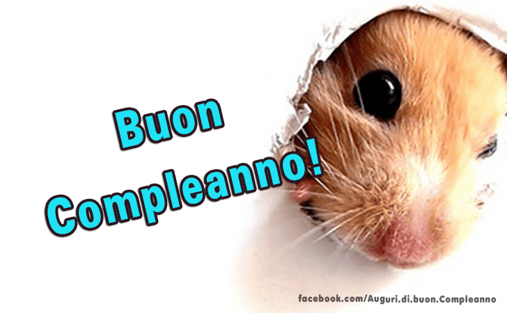 Auguri di Buon Compleanno: Buon Compleanno!