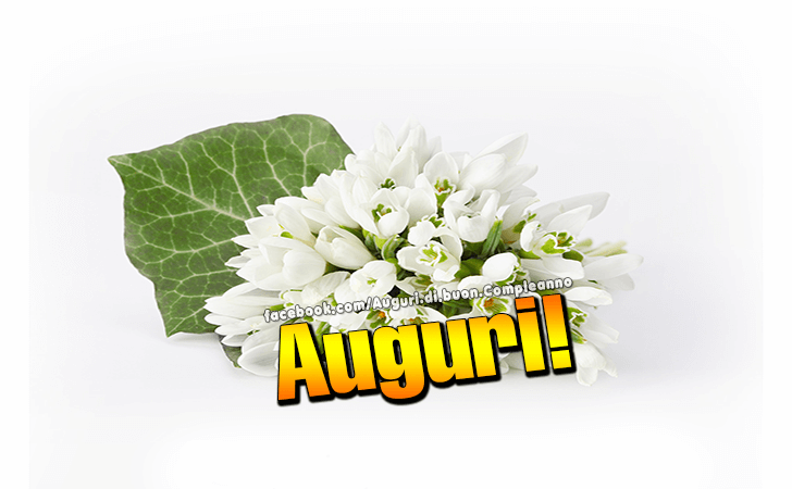 Auguri di Buon Compleanno: Auguri!