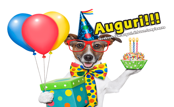 Auguri di Buon Compleanno: Auguri!