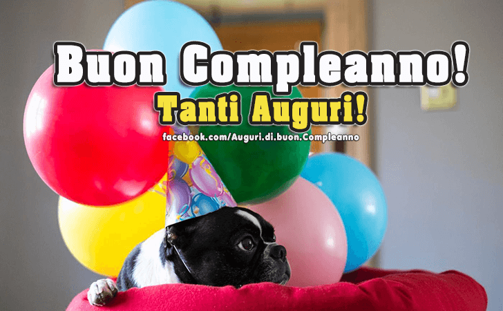 Auguri di Buon Compleanno: Buon Compleanno! Tanti Auguri!