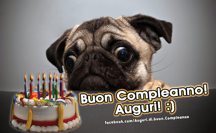 Auguri di Buon Compleanno: Buon Compleanno! Auguri!