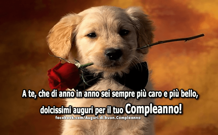 Auguri di Buon Compleanno: A te, che di anno in anno sei sempre piu caro e piu bello, dolcissimi auguri per il tuo Compleanno!