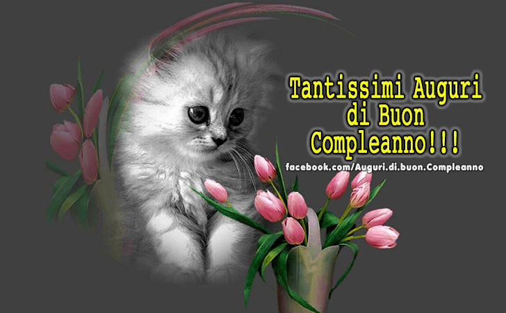 Auguri di Buon Compleanno: Tantissimi Auguri di Buon Compleanno!