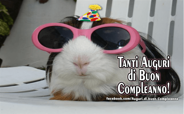 Auguri di Buon Compleanno: Tanti Auguri di Buon Compleanno!