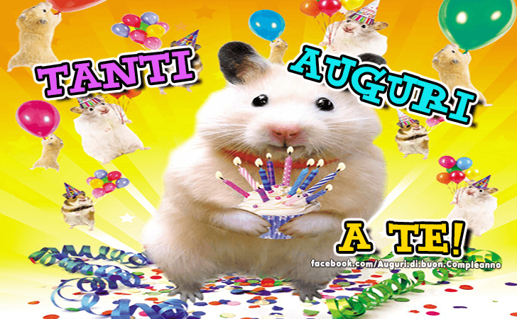 Auguri di Buon Compleanno: Tanti Auguri a te!