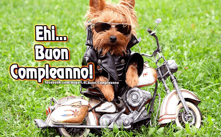 Ehi...