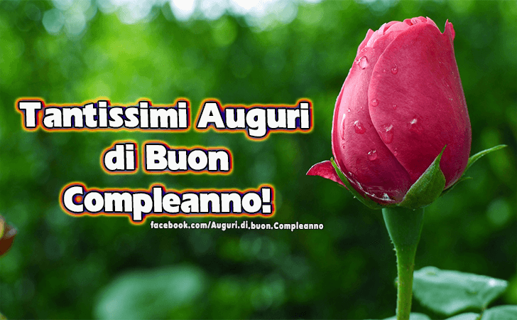 Auguri di Buon Compleanno: Tantissimi Auguri di Buon Compleanno!