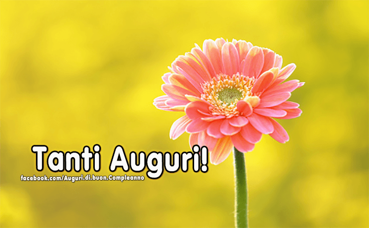 Auguri di Buon Compleanno: Tanti Auguri!