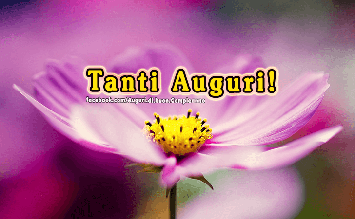 Auguri di Buon Compleanno: Tanti Auguri!