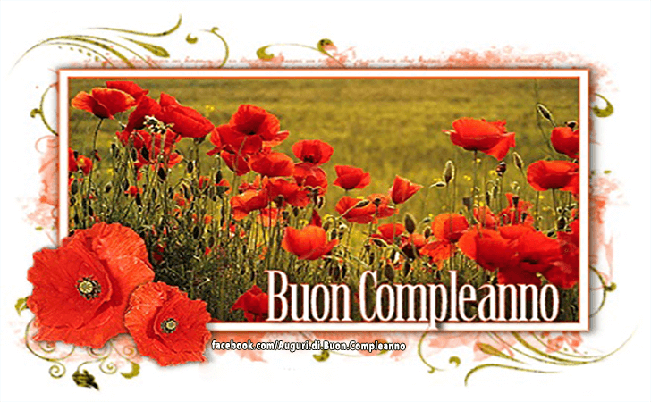 Auguri di Buon Compleanno: Buon Compleanno!