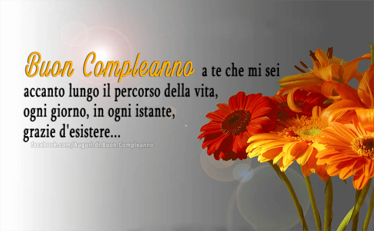 Auguri di Buon Compleanno: Buon compleanno a te che mi sei accanto lungo il percorso della vita, ogni giorno, in ogni istante, grazie d'esistere...