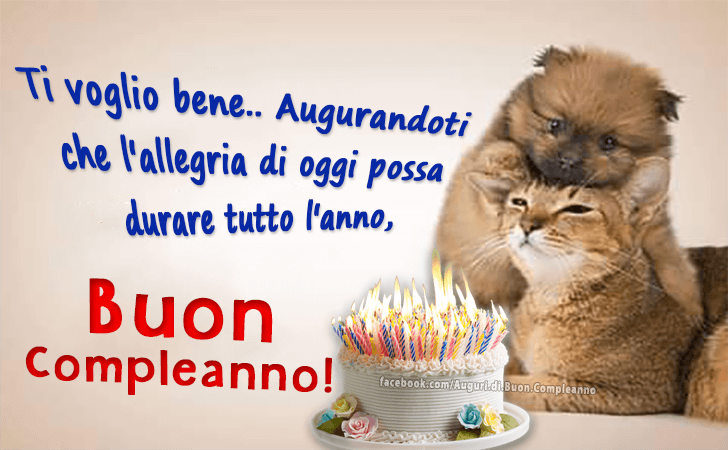 Auguri di Buon Compleanno: Ti voglio bene.. Augurandoti che l'allegria di oggi possa 
durare tutto l'anno, Buon Compleanno!