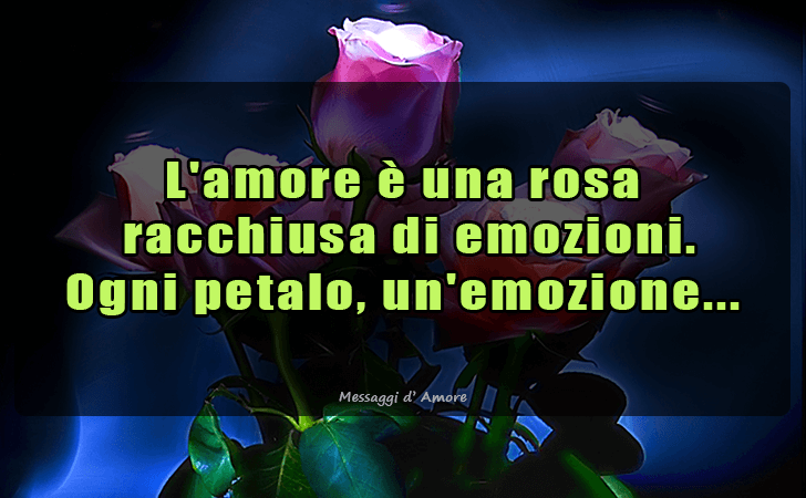 L amore e una rosa
 racchiusa di emozioni. Ogni petalo, un emozione... (Messaggi d'Amore, Frasi e Immagini)