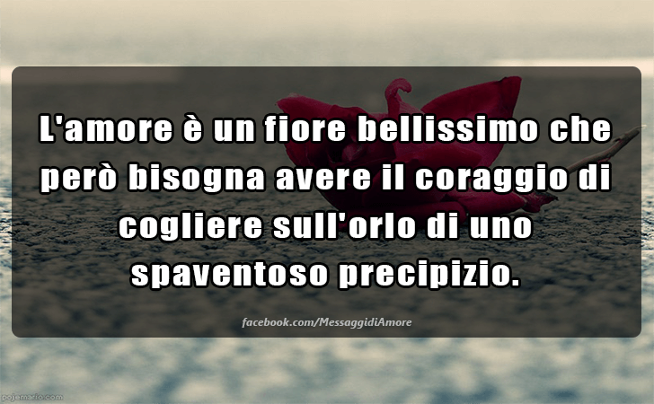 L amore e un fiore bellissimo che pero bisogna avere il coraggio di cogliere sull orlo di uno spaventoso precipizio. (Messaggi d'Amore, Frasi e Immagini)